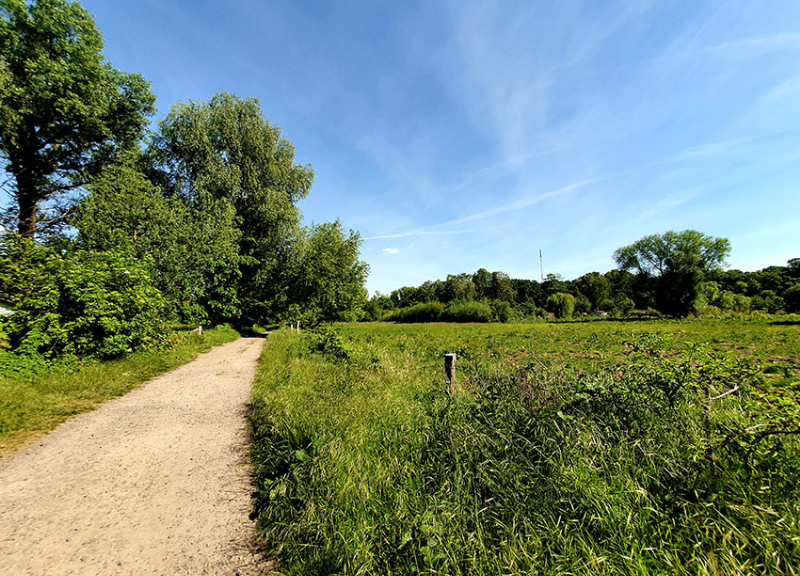 TiefwerderWiesen_c_VisitSpandau_ClaudiaSchwaier