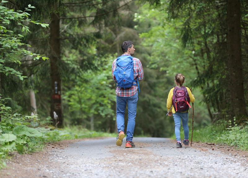 Waldspaziergang_c_unsplash_JulianeLiebermann