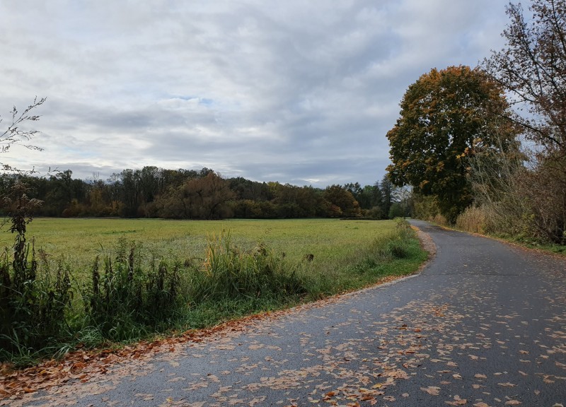 Eiswerder Schoenwalde (c) CS