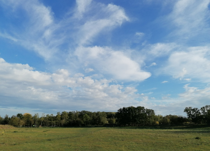 Aussicht_Naturschutzstation_Hahneberg_Spandau_c_L_Kühn