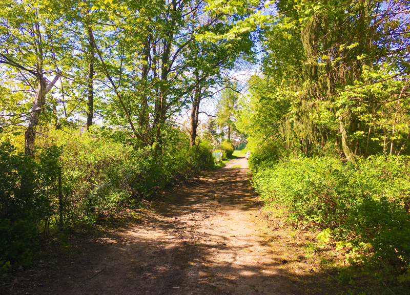 Eiskeller Radweg