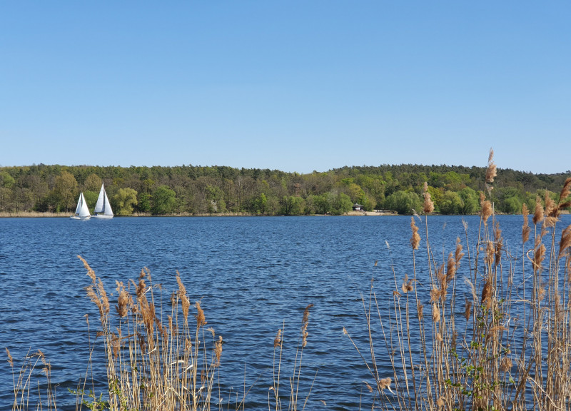 Havelblick_Gatow_c_visitspandau_ClaudiaSchwaier.jpg