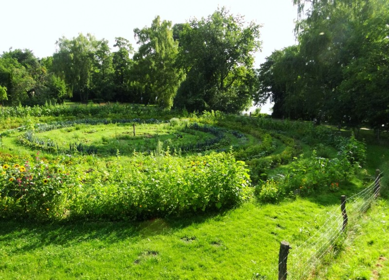 Feld Havelmathen bauerngarten