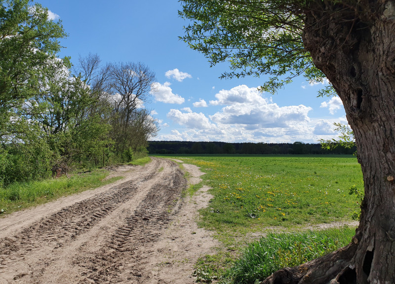 Rieselfelder Gatow (c) ClaudiaSchwaier