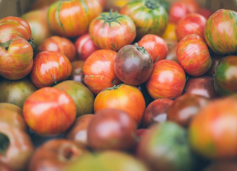 Tomaten Ambrosini Unsplash