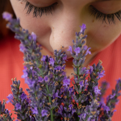 Blüten_Spandau_unsplash_Elly_Johnson